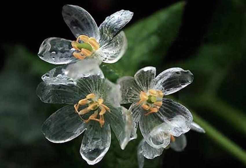 ØµÙØ±Ø© Ø°Ø§Øª ØµÙØ©