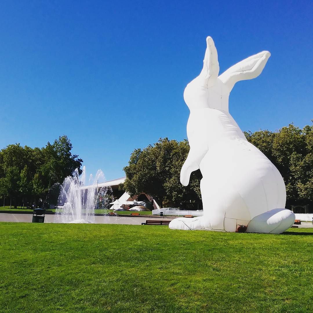 huedoku's tweet photo. Big white wabbits. #blankcanvas #projectionmap this @caseyscalf https://t.co/aRssnFabiz https://t.co/eprqIOcMli