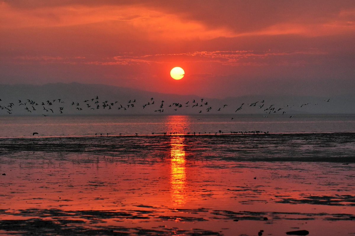 gerardcorbett's tweet photo. Paprika Sunrise #sanfranciscobay #sunrise #fostercity #heateffects https://t.co/iJONh5Gf8H