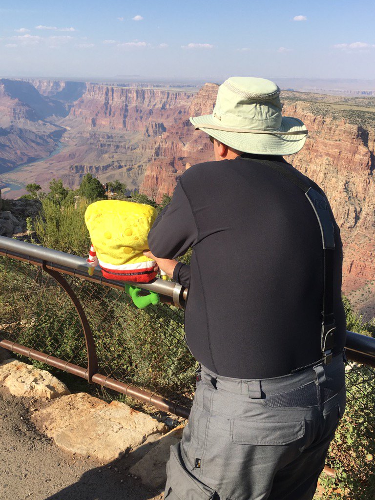 theofam's tweet photo. Spongebob and Mike contemplate the Grand Canyon's grandeur. #3fc2017 https://t.co/3T3g0lqPEC