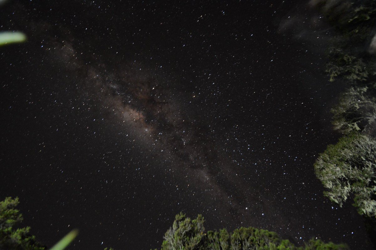 Back from my trip! I spent 2 weeks this summer traveling to Tanzania to Climb Mt. Kilimanjaro! After 19,340 so feet...