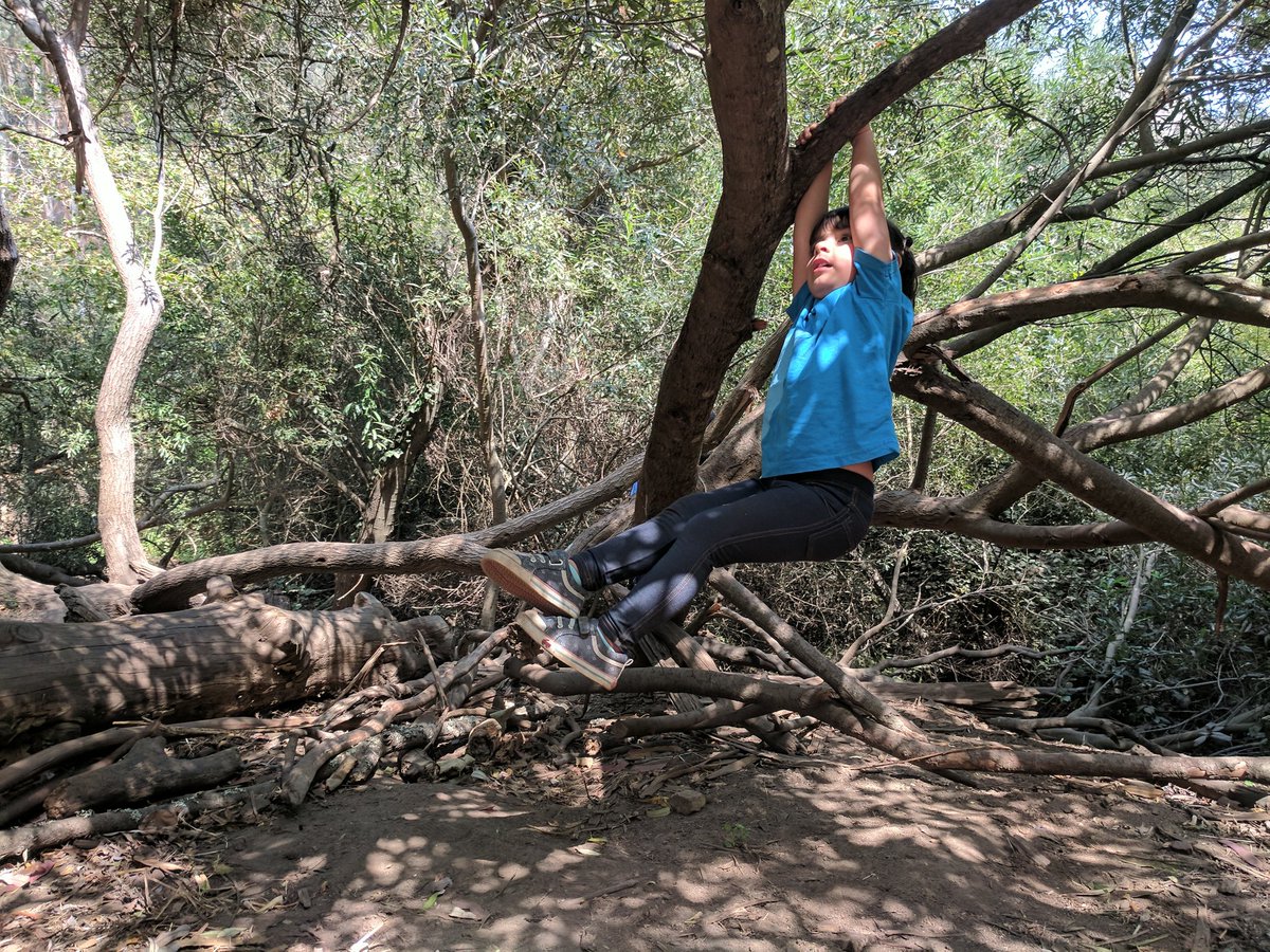 andres's tweet photo. finally was able to have a father-daughter #parkour session! I see a bright future in my little Ninja 😎 https://t.co/bOaZ2mCkmD