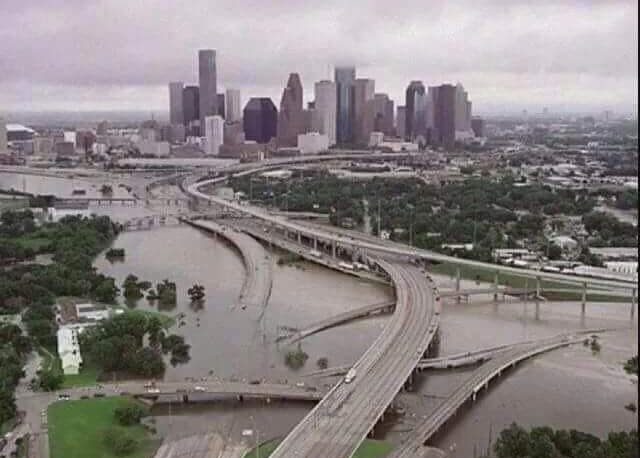 mcorvisiero's tweet image. Want to #HelpHouston in the aftermath of #HuricaneHarvey? See @SCBWINorthTexas Auction w @CorvisieroLit + Donations. 32auctions.com/scbwin