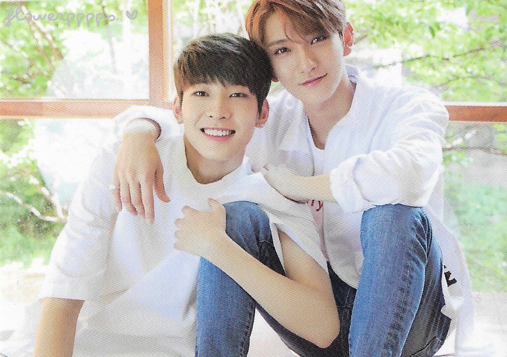 flowerpppps__'s tweet photo. [scan] ♡ ♡ #DiamondEdgeinJapan trading card♡ ♡ #seventeen #svt #세븐틴 #DiamondEdge #joshua #조슈아 #홍지수 #wonwoo #원우 #ウォンウ #dino #디노 #Diamond_Edge https://t.co/F46bh2n5qQ