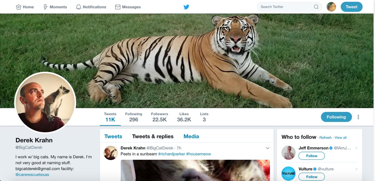 GGNDRiRock's tweet photo. @BigCatDerek I'M PROUD OF U!!! GOT A TEEGEE AS YOUR HEADER!!! 🙌🙌🙌🙌 Finally seen the light,#TEAMTEEGEES [I cant remember what it was before!] https://t.co/dZESIx2Uju