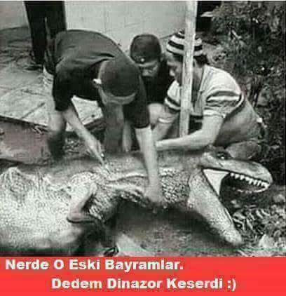 masonicturkey's tweet photo. #Bayram #bayramınızkutluolsun #EidMubarak #dedem onceden dinazor keserdi🗡😯 nerde o eski gunler https://t.co/wUE13OBYuS