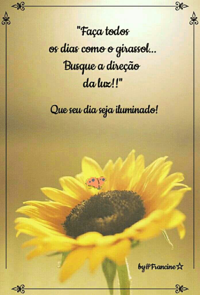 marcia (@aicramarciape) on Twitter photo 