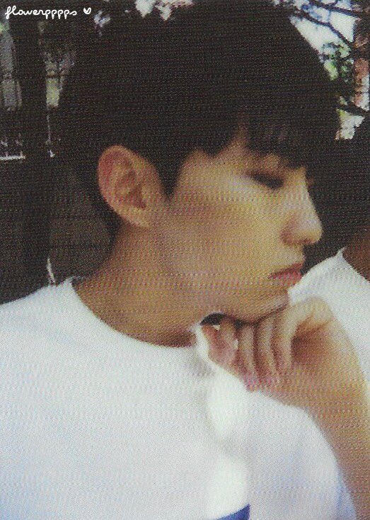 flowerpppps__'s tweet photo. [scan] ♡ ♡ #DiamondEdge photocard ♡ ♡ #seventeen #svt #세븐틴 #Diamond_Edge #hoshi #soonyoung #kwonsoonyoung #호시 #ホシ #순영 https://t.co/U7Bagwo8FK