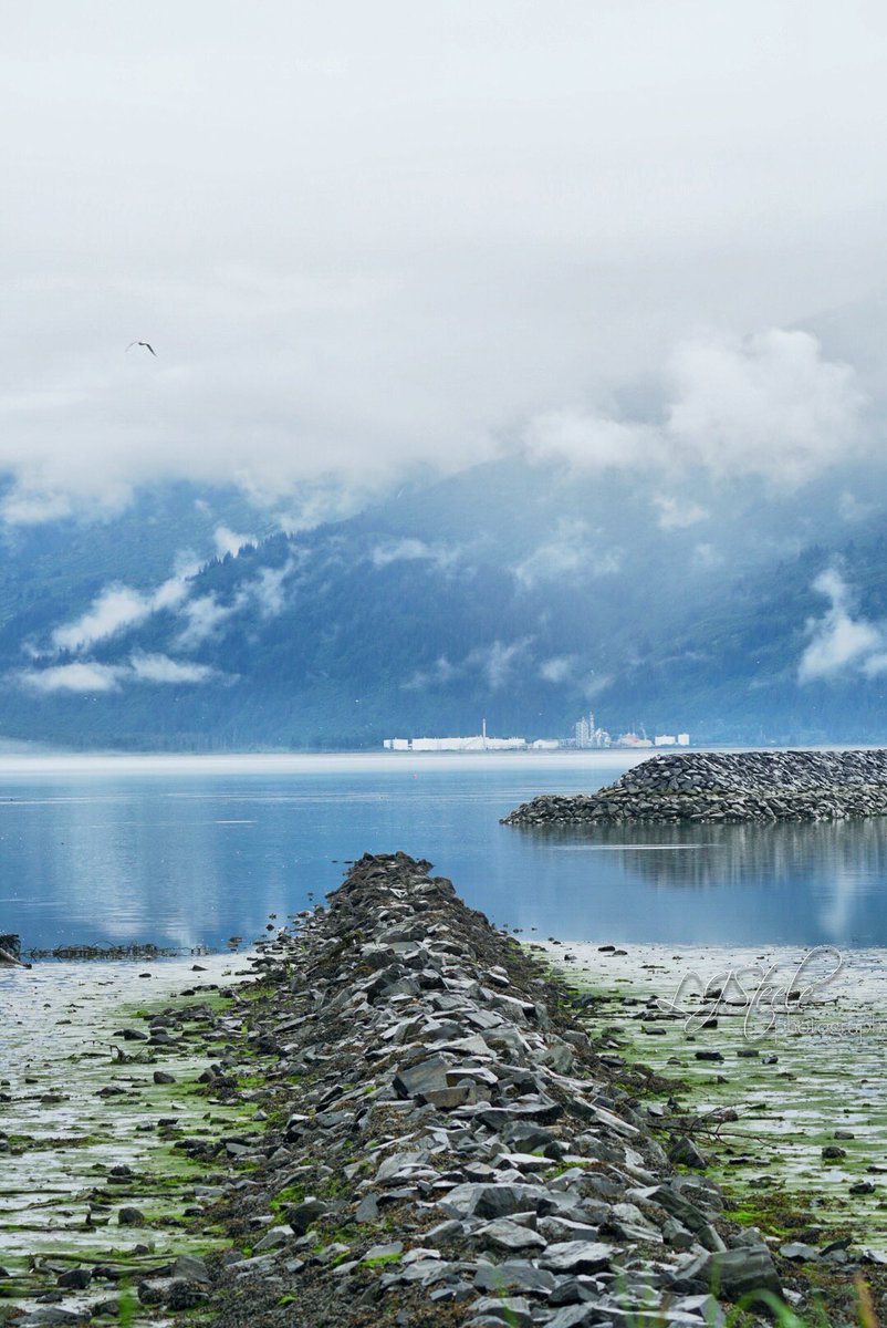 LJSteele_Photo's tweet photo. Beauty even when the tide is low #valdez #discovervaldez #travelingkiwi #akkiwi #travel #dockpoint #photography #alaska #lowclouds #ocean https://t.co/aYodkRcWpM