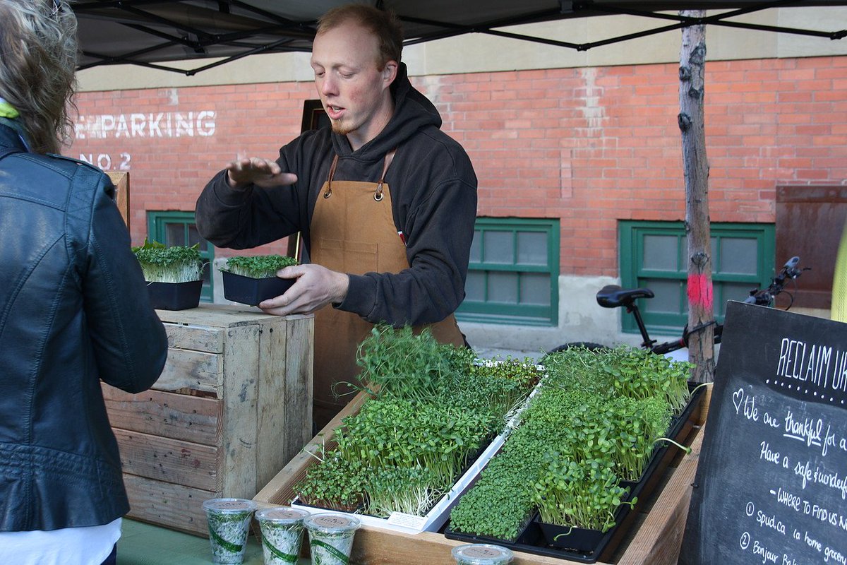 SalisburyMarket's tweet image. Happy Monday! Only three days until Market Day!  #marketcountdown