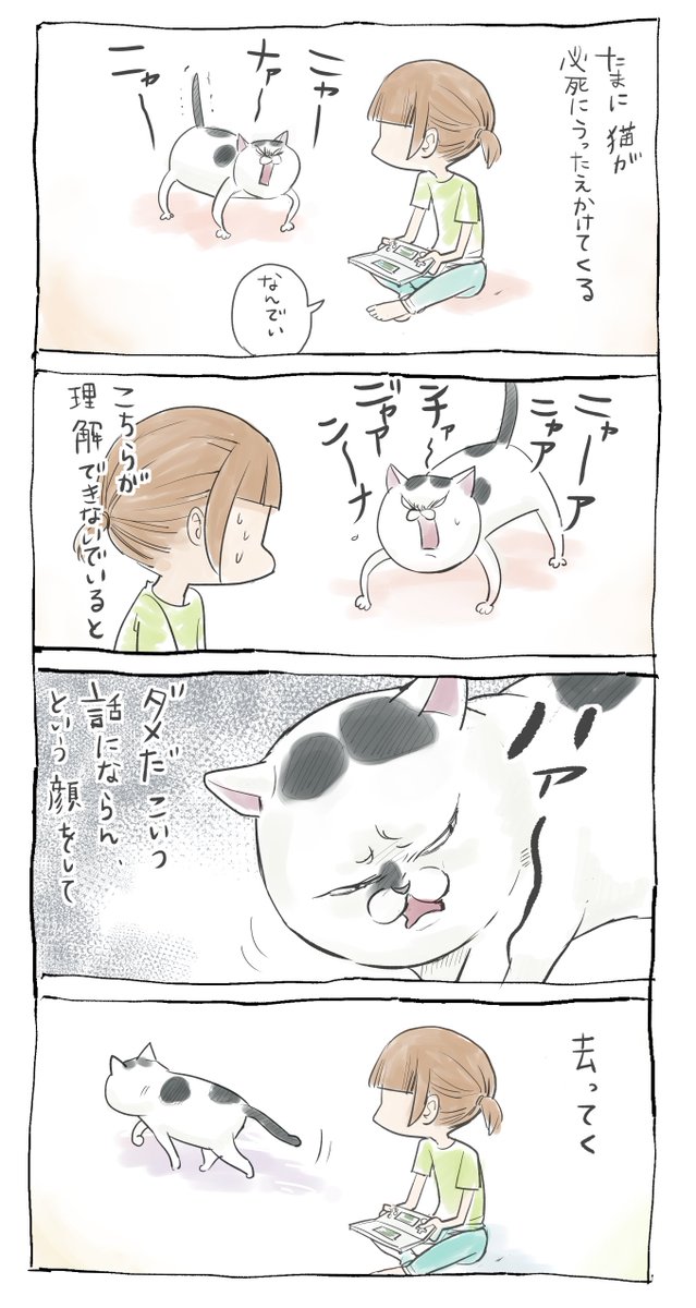 ねこ語がわからなくてつらい 