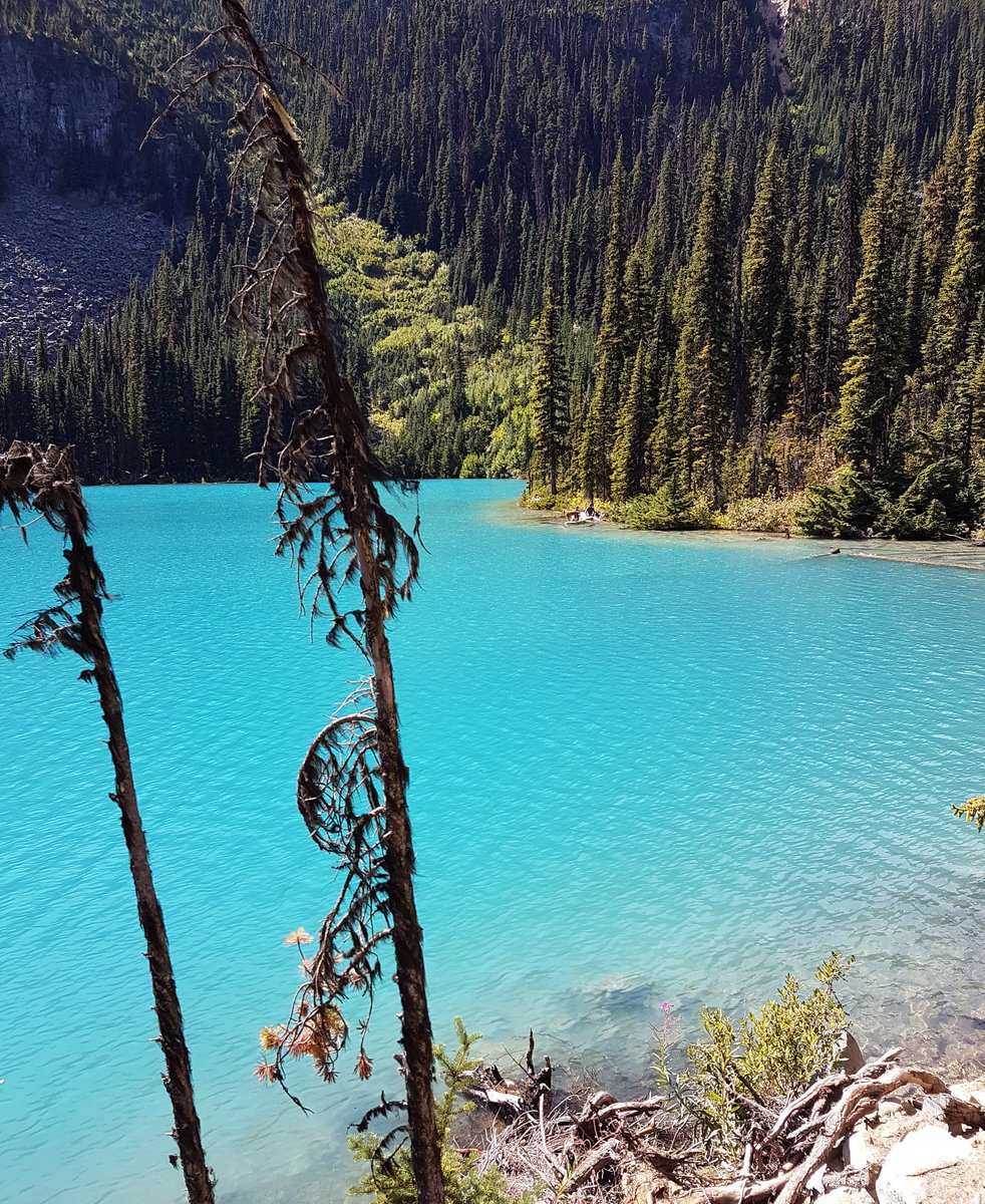 liltea_'s tweet photo. Okay guys LOOOOOOK at this place!!! 3 freakin' koolaid lakes, 13km hike and even a glacier to top it off 😻🌲💦 https://t.co/AOyTY7sLlH