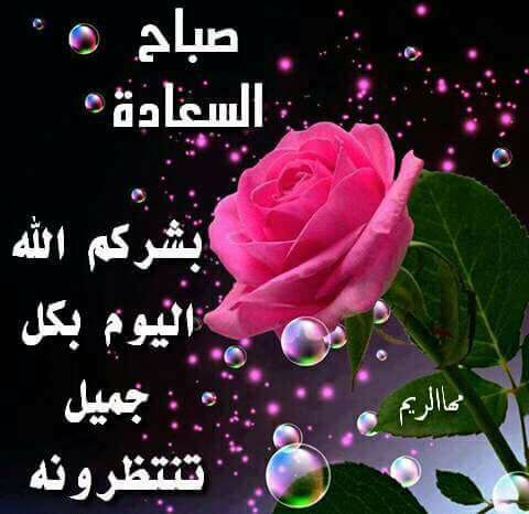 ثمة أشخاص اشتهي ان اقطف لهم جميع 
#سعادات العالم وأزرعها في صدورهم 
ﻷني 👈💕😍أحبهم ....
صباح الدعوات المستجابة من قلوبكم 🌷🤪🙈