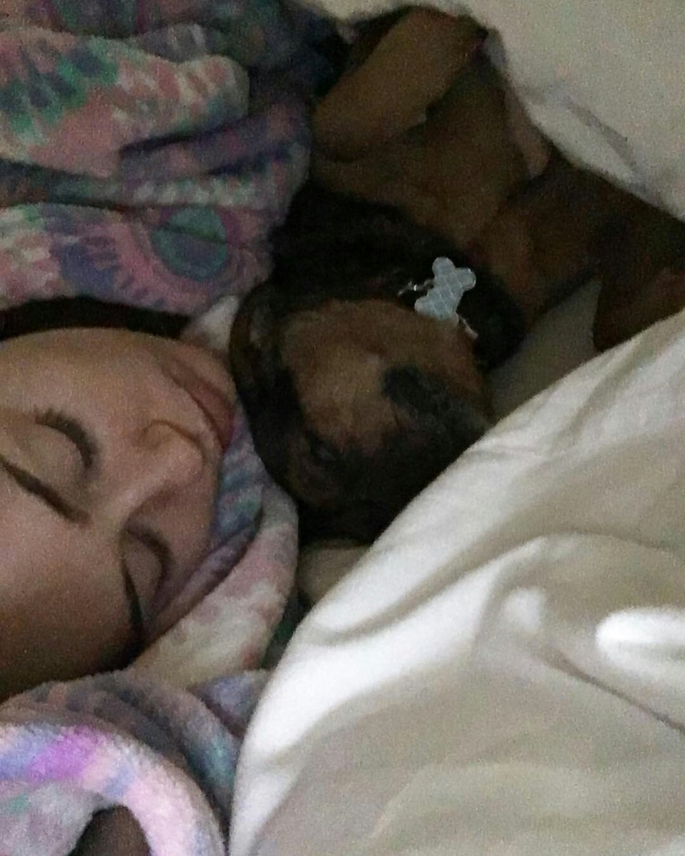 MileyCyrxsb's tweet photo. #CyrusOFF
Mañana le seguimos 💤 https://t.co/A55m70WGOv