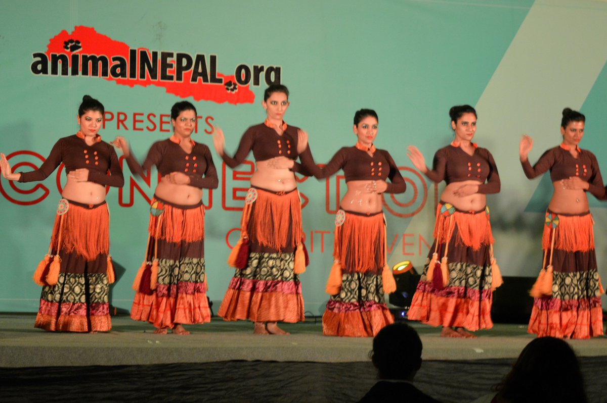 AnimalNepal's tweet photo. A big thank!#all animal lovers who participated#,supporters for supporting  "THE CONNECTION-2017 "event # a big success!! https://t.co/2k7XkdftAh