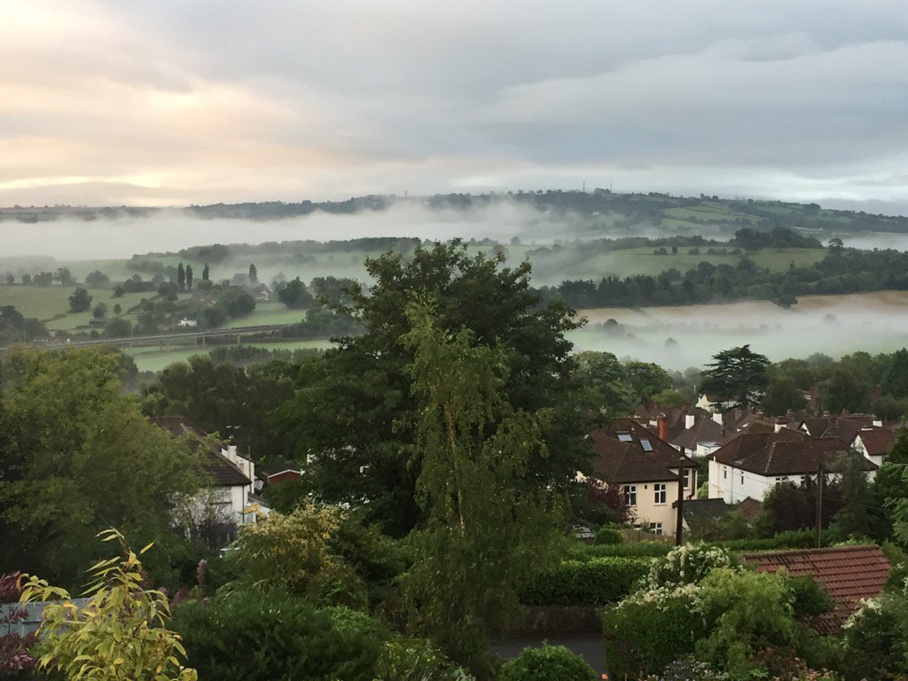 bheald's tweet image. Early morning cloud forest effect - #morninginLA