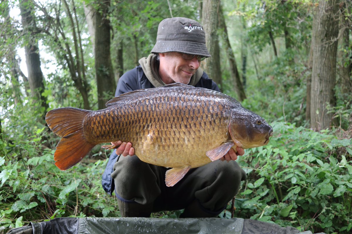 MarkwuzyMark's tweet photo. A 30lb 6oz brute of a common #wychwoodcarp #bait_tech #gardnertackle https://t.co/gDWy6hQslt