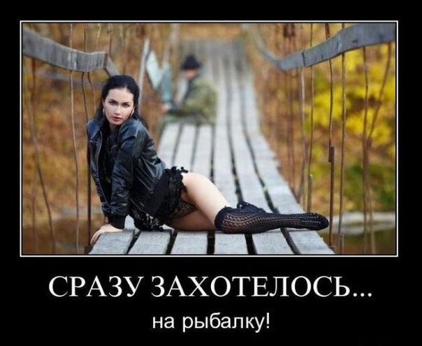 odnotrahnikii's tweet photo. #Odnotrahniki был проектом по выкачиванию денег из населения в замен скудный по оформлению сайт https://t.co/uaOJ9S2aMe https://t.co/5eSmxk7txv