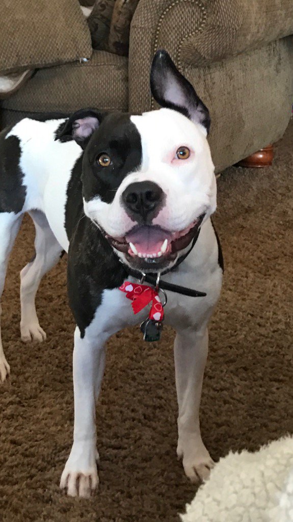 A smile for the week 💞