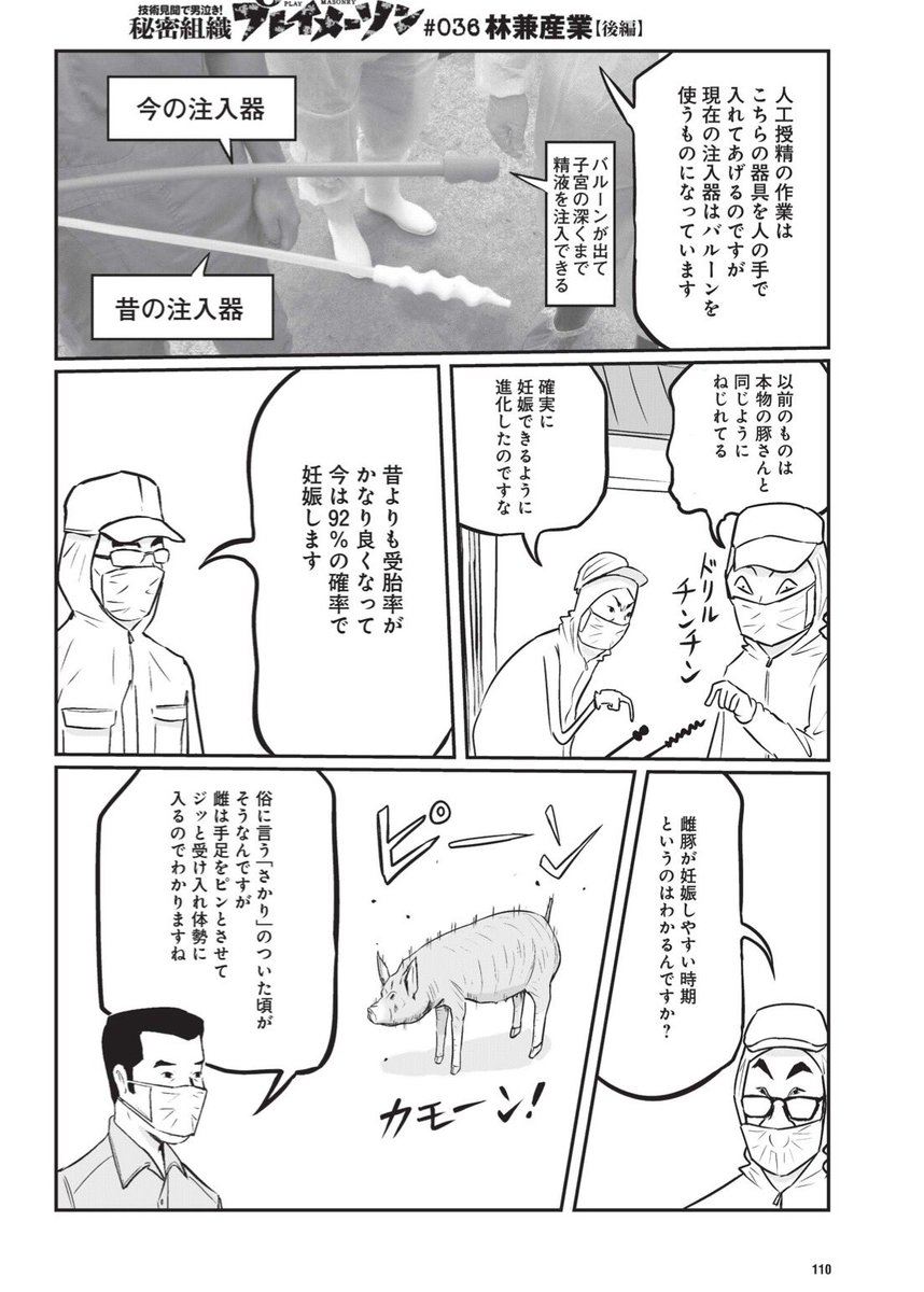 林兼産業後編!霧島黒豚。
カモーン!
#週刊プレイボーイ 