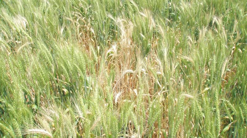 thelandnews's tweet image. Mapping sensible, yet interpretation is the key. ow.ly/j73n30eSKEp