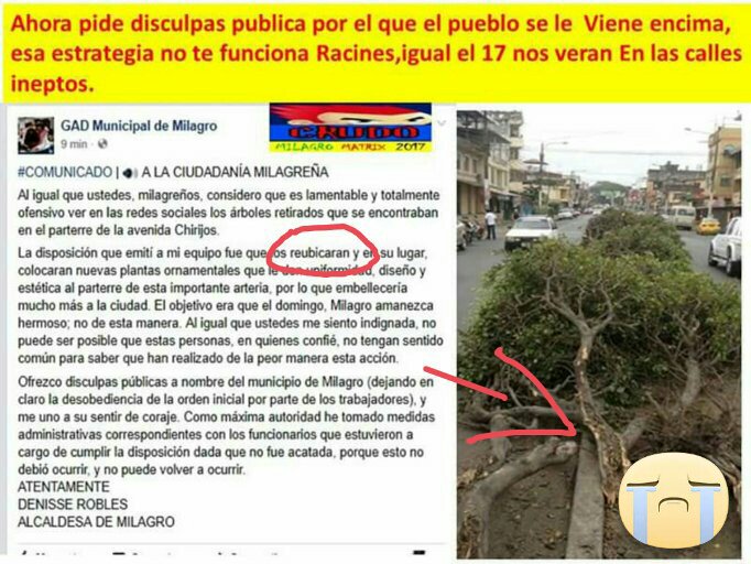 Anthony_Marti22's tweet photo. #Milagreños Exigen Renuncia De La Alcaldesa  @minisambiente @MinTurismoAR @GoberdelGuayas @panchocevallosv @LosConfiables @ActualidadRT https://t.co/bWBmB1WQ1U