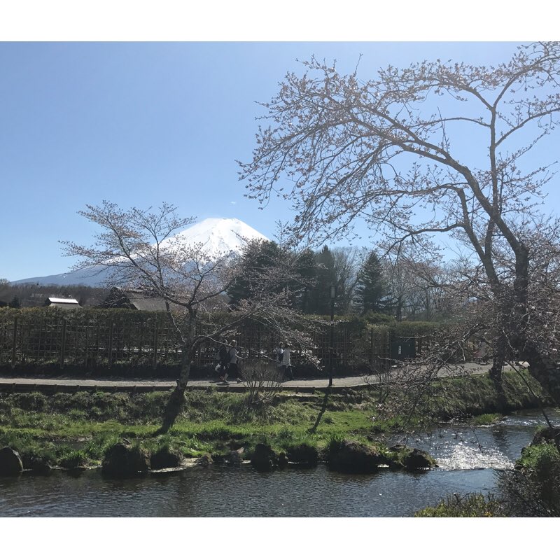 yasuke_fuji's tweet photo. Our fabrics are made here.
It is the best Japanese traditional fabric called “Fujiyama Ori”.
https://t.co/zB5eC0js7V
#弥佑 #弥助 #やすけ #ヤスケ https://t.co/ZfH9w0oQ4x