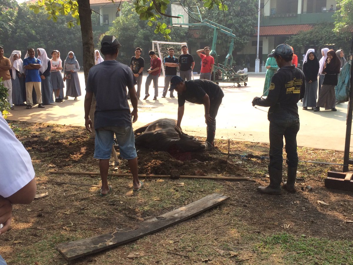 [LIVE REPORT]

Sedang berlangsung pemotongan hewan qurban🐄🐐