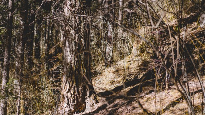 Twitterのコスプレ画像16