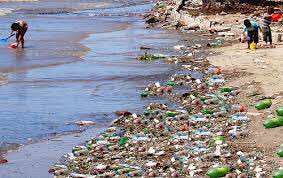 ¿No te dan ganas de salir a comprar un filtro de agua, y dejar de comprar botellas plásticas? #usemosmenosplástico #reciclemos