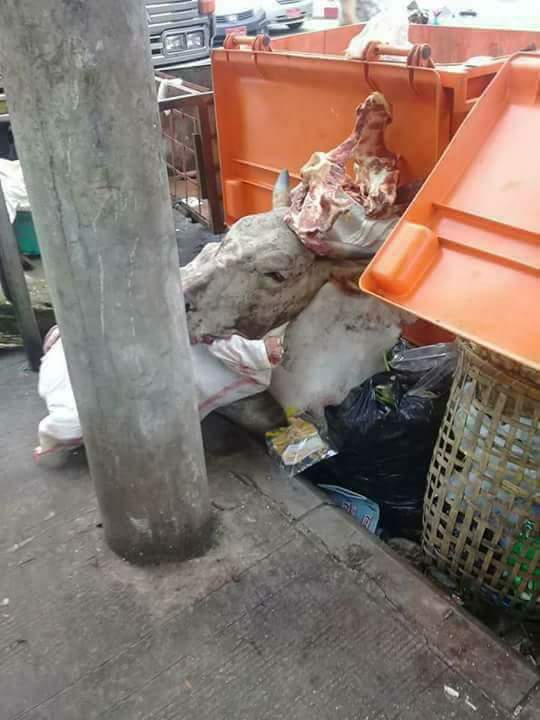 Do you seen such a disciplined race ????????????
It is difficult to accept as  a man. They are muslin in Myanmar.
