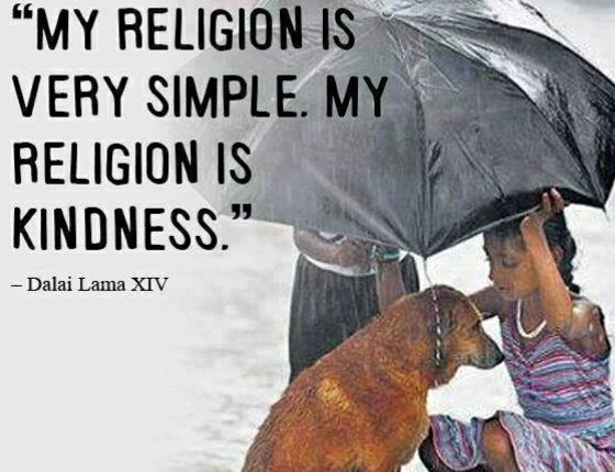 PHNepal's tweet photo. Truly said by Dalai Lama 😊
#KindnessMatters
#HumaneEducation
#ProjectHumaneNepal https://t.co/PYKorxfa14