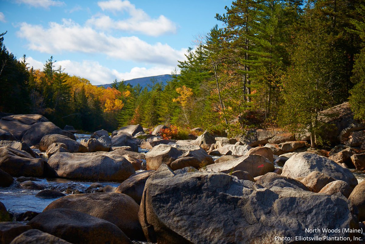 Wilderness's tweet image. “Many of our greatest American thinkers.... have found the forest and effective stimulus to original thought.” - Bob Marshall
