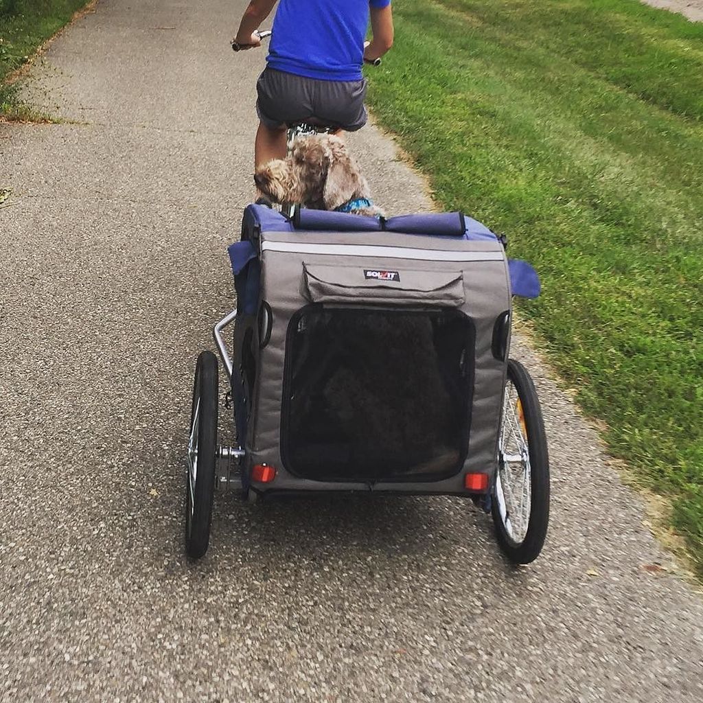 SolvitPets's tweet photo. The perfect chariot for a sight impaired pup! #rideon •
•
•
📸 by @seymourseesnomore https://t.co/TgvEhPahtP https://t.co/SJiTjx9pP0
