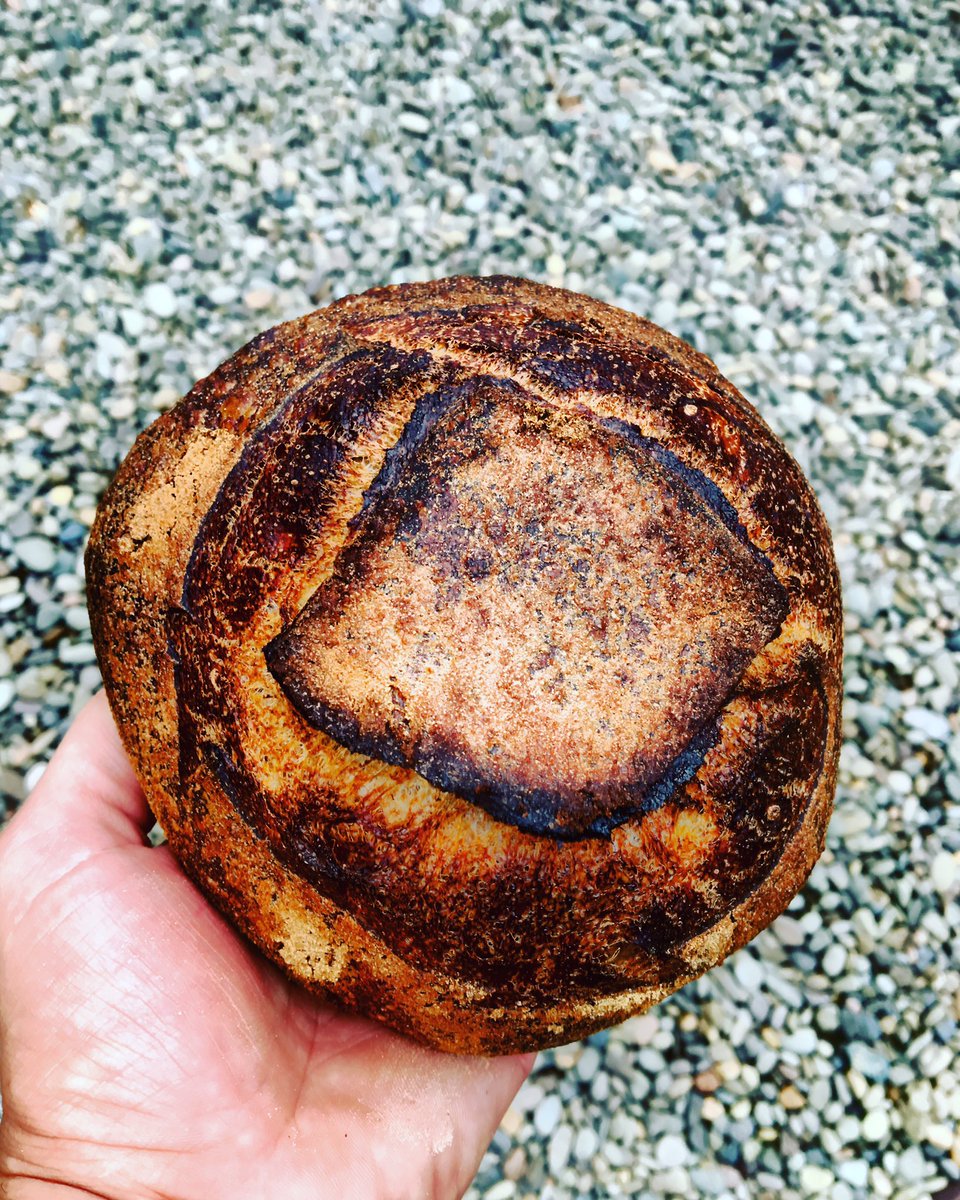 thekitchennomad's tweet photo. @camas_country 80% Winter Hard Red Wheat Flour @ 80% hydration. #camascountrymill #tartine  #sourdough #naturallyleavened #bread #homebaker https://t.co/3X5IDB54u2