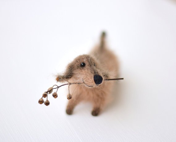AnimalArtDolls's tweet photo. #Dog #Dogtoy #Dachshundtoy #Dachshund #Dachshunddog #doglovergift #personalizeddog #giftfordoglover * https://t.co/wXos3mBCiM * @Etsy https://t.co/vBRfSEpefp
