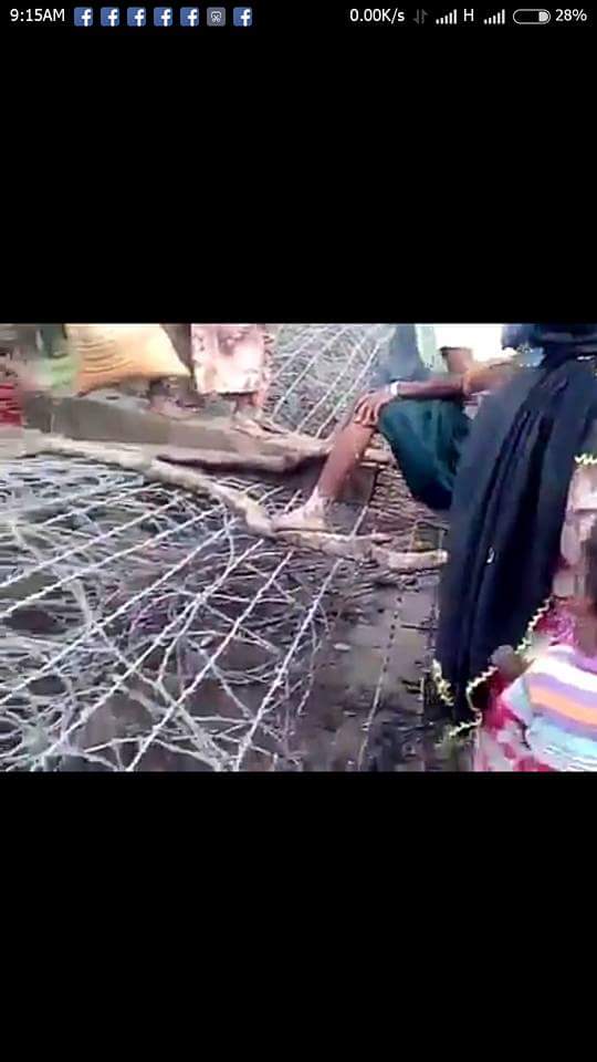 Look@them!
Borderpass between Bangladesh&amp;Maungtaw in Myanmar without passports.
They are Bangladesh citizens.They are Bangalis,not Rohingya.
