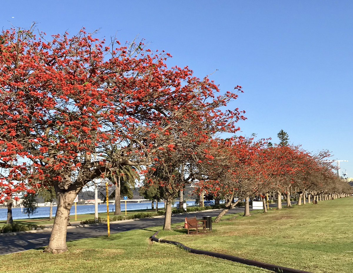 LCAPresident's tweet photo. #JusticeProject in Perth visiting w #ALSWA Children's Court talking high incidence of #FADS & Youth Engagement Program #auslaw https://t.co/Z1WCzm3vHF