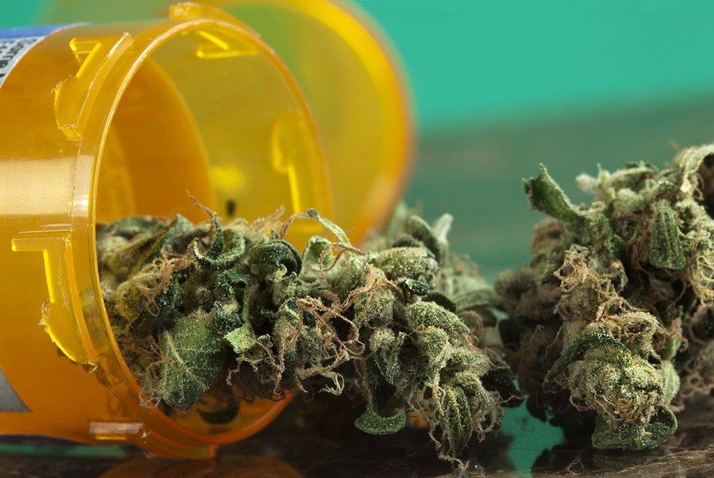 BCChronicInc's tweet photo. The best advice for any newbie cannabis patient is start slow. π
#MedicalCannabis #MedicalMarijuana #bcchronic https://t.co/emNzMDo7TK