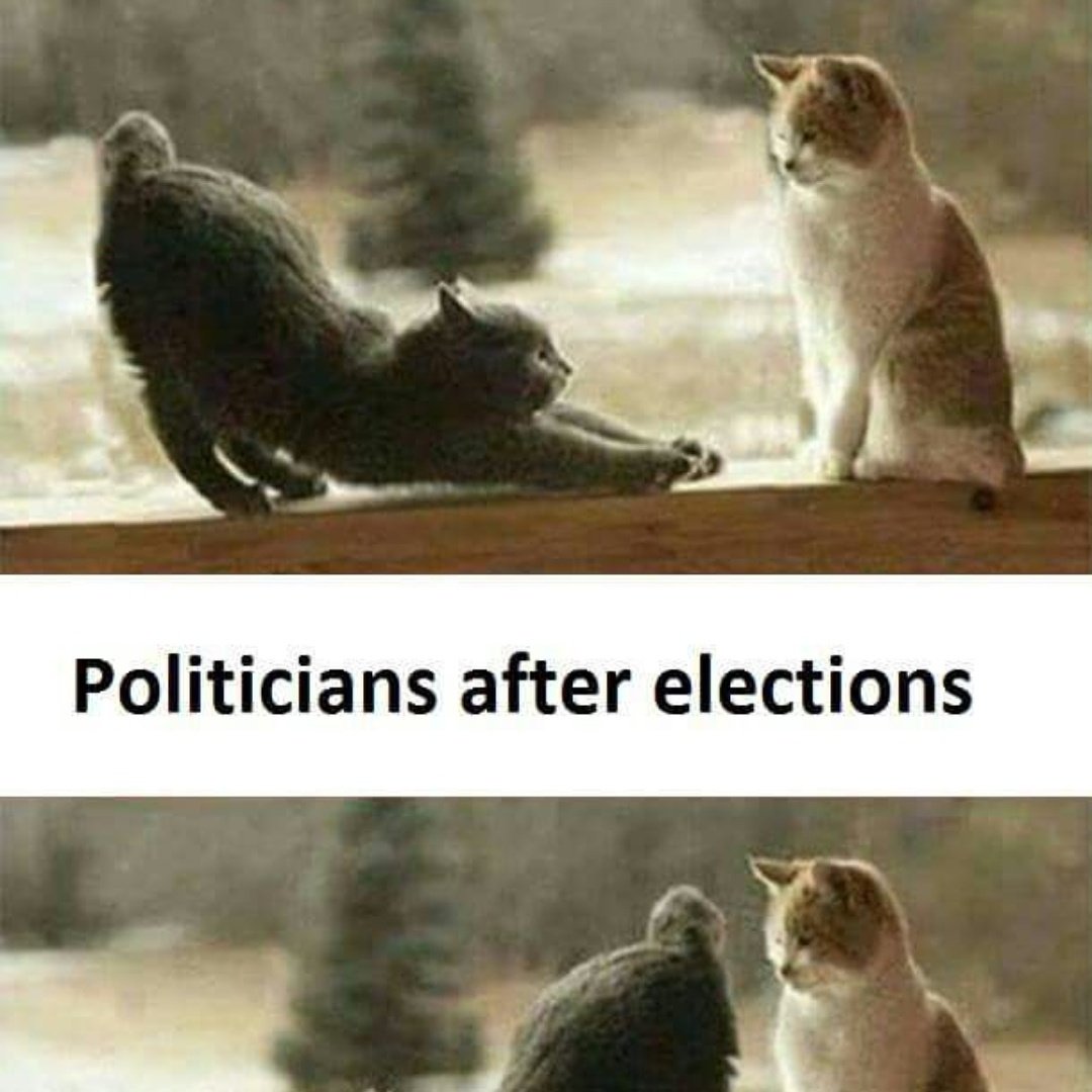 nakkatoka9's tweet photo. #laughing #wacky #funny #photooftheday #jokes #lmao #witty #crazy #epic #laugh #funnypictures #silly #hilarious #haha #tweegram #goodda #LOL https://t.co/F9MvPOHHPH