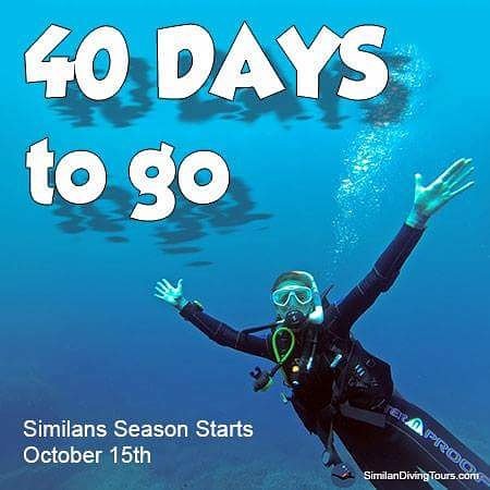 SimilanDiveTour's tweet photo. 40 days to go until the #SimilanDiving season starts! 
Then its 🌞🛥️⛵🌴🐟🐠🐡🦈🐋
Go to https://t.co/QhTjRTfPSG to book a #liveaboarddivetrips . https://t.co/VLexsAjd9f