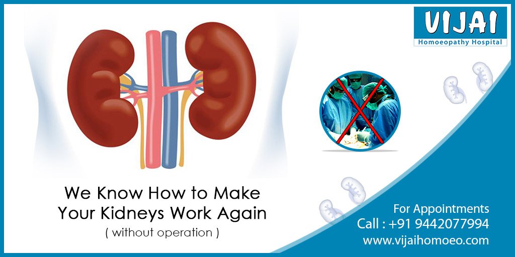 Vijai_Homoeo's tweet photo. We Know How to Make your Kidneys Work Again
( without operation )
For Appointments Call: (9442077994)
#kidney #Withoutoperation #doctor https://t.co/a7qaSyRdkv