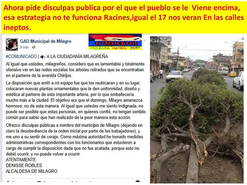 Anthony_Marti22's tweet photo. @eluniversocom @mayiortiz Repuesta del GAD De Milagro 
Nos Cansamos de las calles destruidas, de comer polvo y la tala D los Arboles fue la gota q derramó el vaso https://t.co/LLOupwXe6O