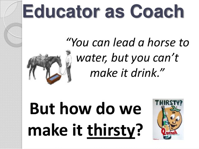bio_nancy's tweet photo. usually my response is the horse might want lemonade coke or a straw-i'll start adding this response too when Ts say you can lead a horse.. https://t.co/6IsAYbztTy