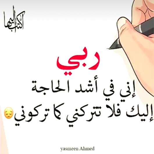صباحكم رضي  الرحمن  #الطير_المهاجر_للدعم  #زايد_غلاهم_للدعم
