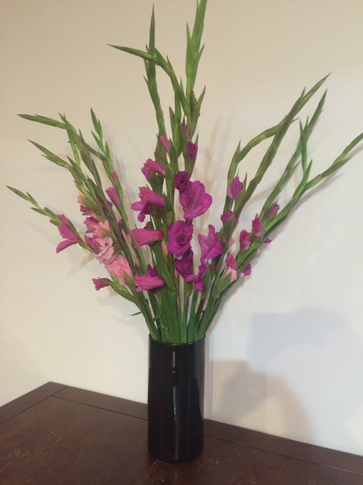 I also bought flowers 🌷🌸🌺 https://t.co/jyNhxNd4iS<a href="/tag/manyvids"class="tags"><span>#manyvids</span></a>