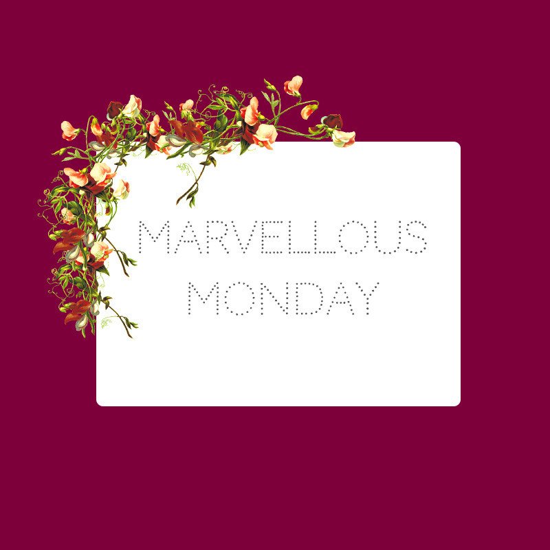ArndellAnna's tweet photo. Happy Monday 😘 How are you starting today? #workout #mondayvibes https://t.co/l8a0oYTJZ3