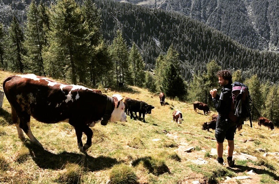 Alessandro Barbaglia tweet media