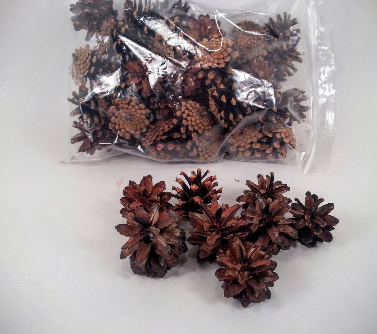 dovesclosetinc's tweet photo. 25 Small Pine Cones Baked and ready for your crafting needs FI0227 https://t.co/T07URByj5o #Handmade #SmallPineCones https://t.co/DOVtBdmr5J
