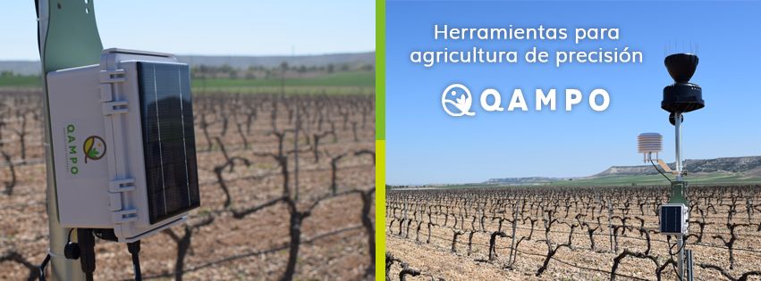 Qampo Agricultura tweet media